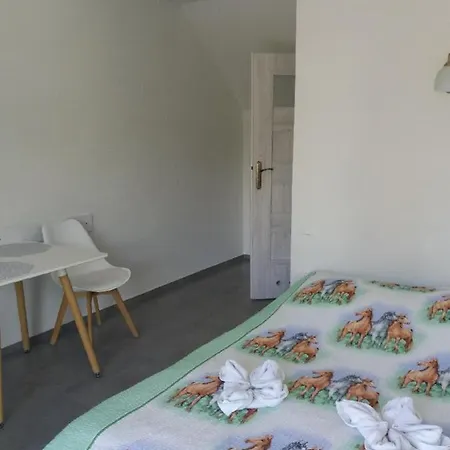 Inn Gosciniec Solan 3*