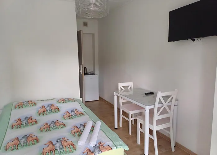 Gosciniec Solan 여관