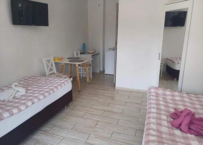 Gosciniec Solan 여관 3*